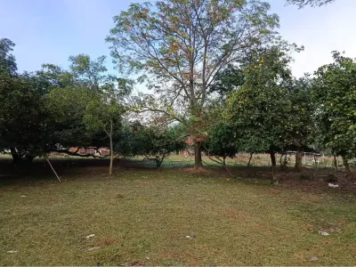 Terreno à venda em Villeta, Central - 2.440 m²