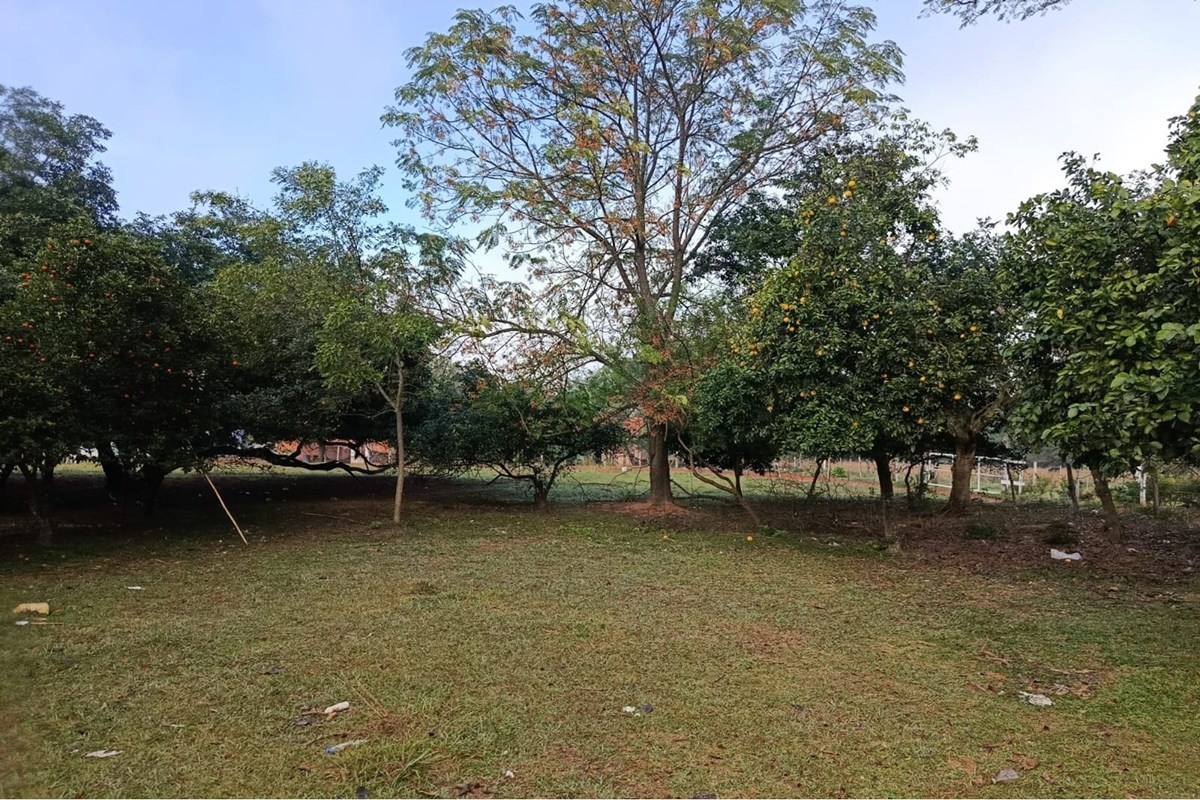 Terreno à venda em Villeta, Central - 2.440 m²