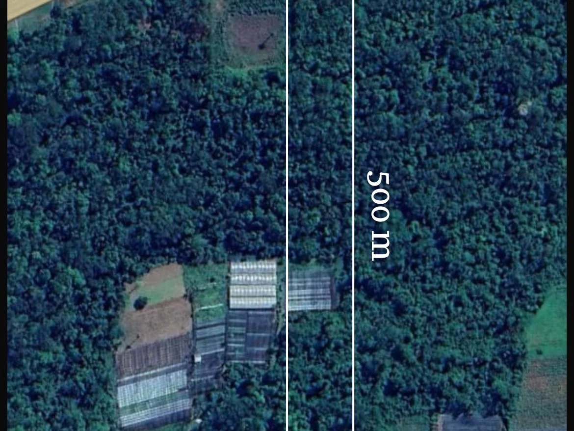 Terreno de 2,5 ha à venda na Rota 2, Coronel Oviedo