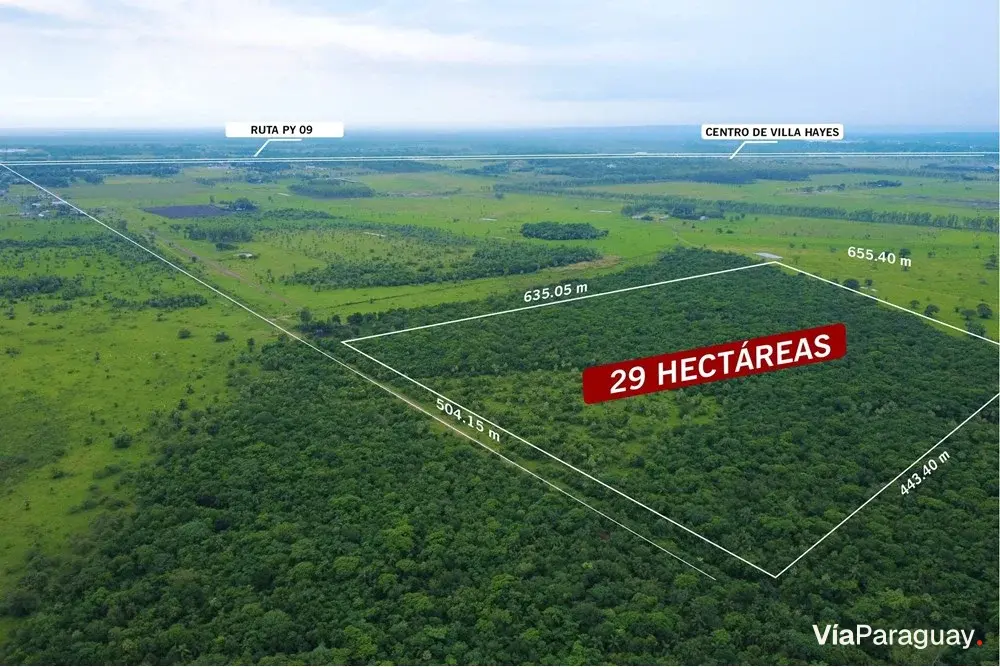 Terreno de 29 ha en venta en Villa Hayes