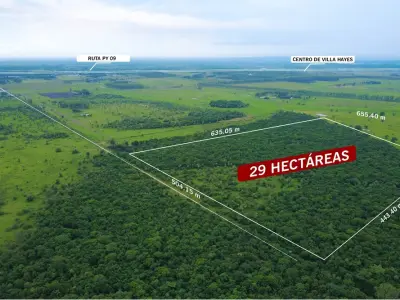 Terreno de 29 ha en venta en Villa Hayes