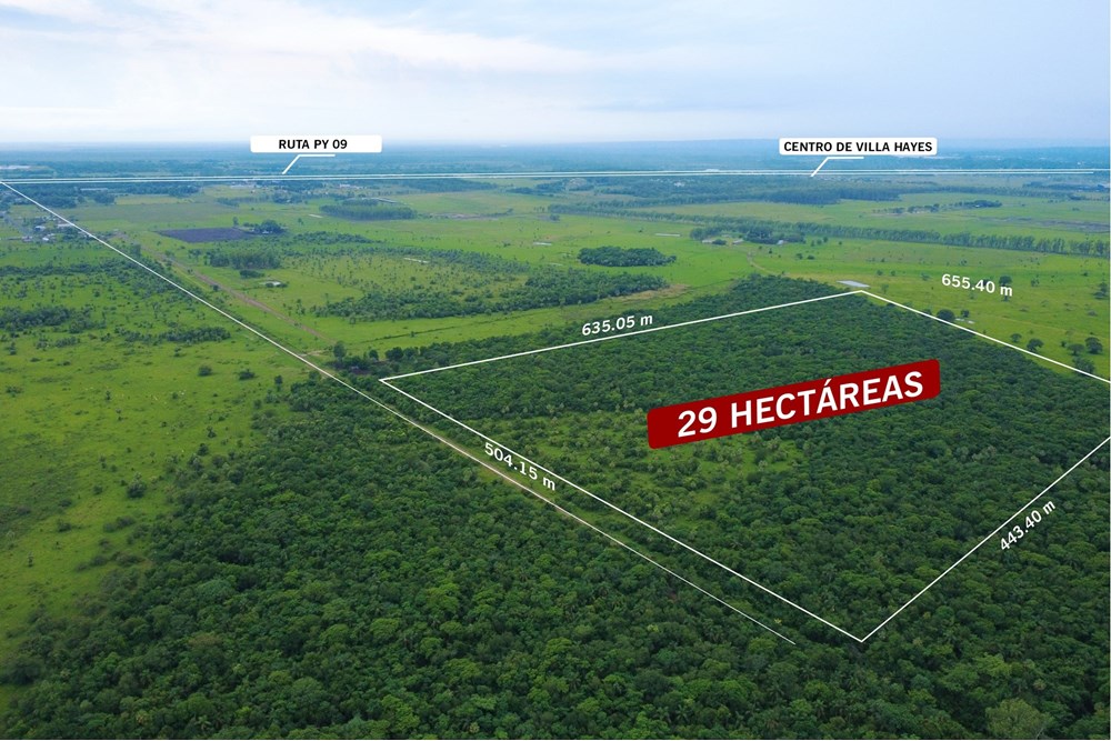 29 ha land for sale in Villa Hayes