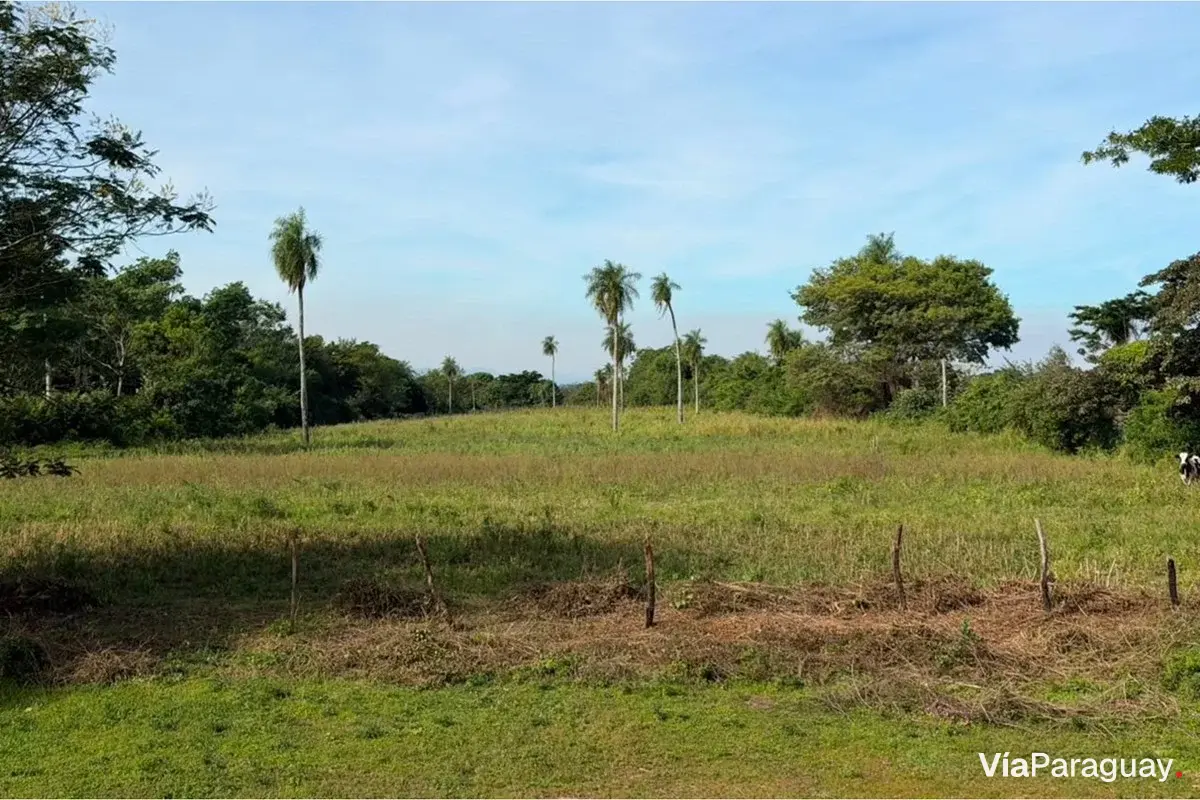 Terreno de 29.740 m² à venda em Villeta, Central