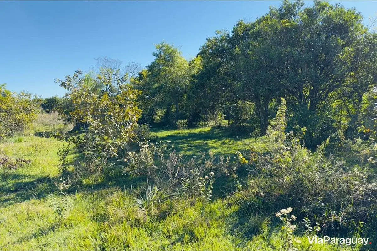 3-hectare land for sale in Cambyretá, Itapúa