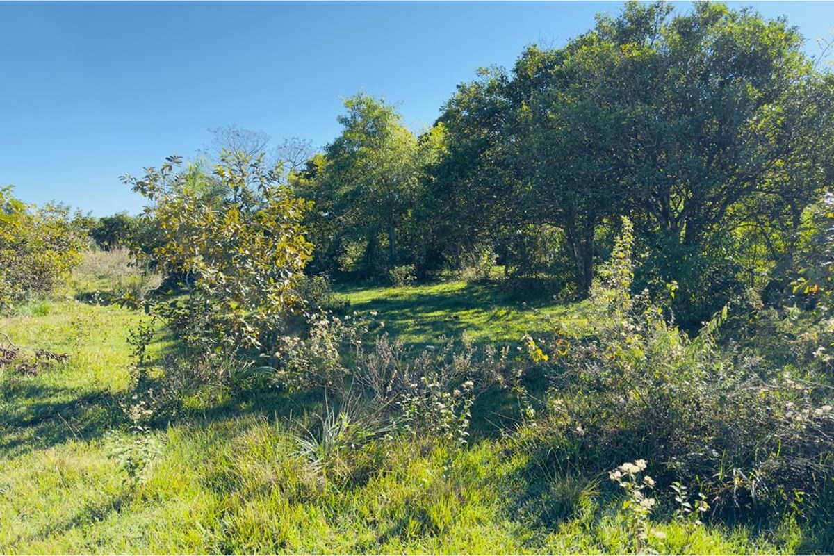 Terreno de 3 hectares à venda em Cambyretá, Itapúa