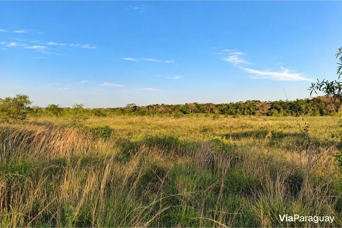 Land for sale in Tobatí, Cordillera – 3 hectares