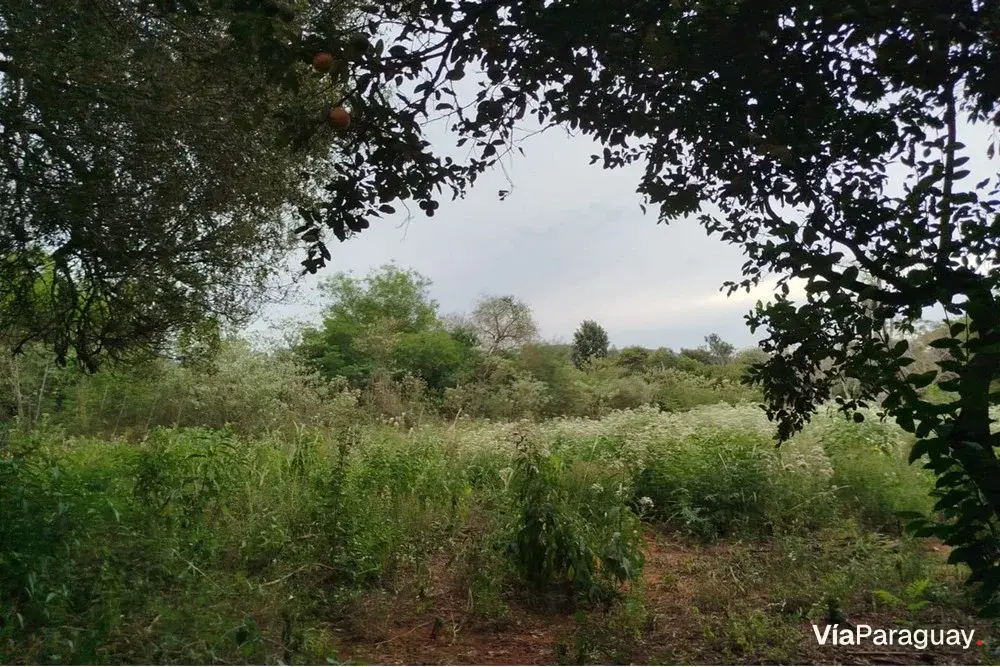 Terreno de 34 ha à venda em José A. Fassardi, Guairá