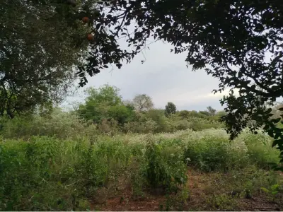 Terreno de 34 ha à venda em José A. Fassardi, Guairá