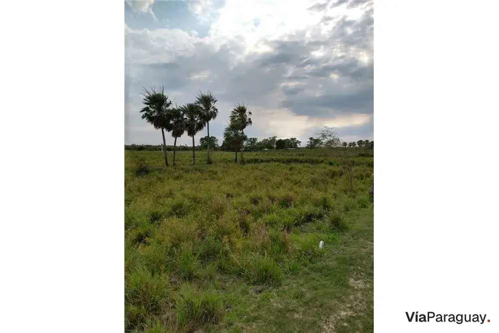 Terreno de 353 hectáreas en venta en Villa Oliva
