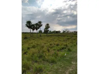 Terreno de 353 hectáreas en venta en Villa Oliva