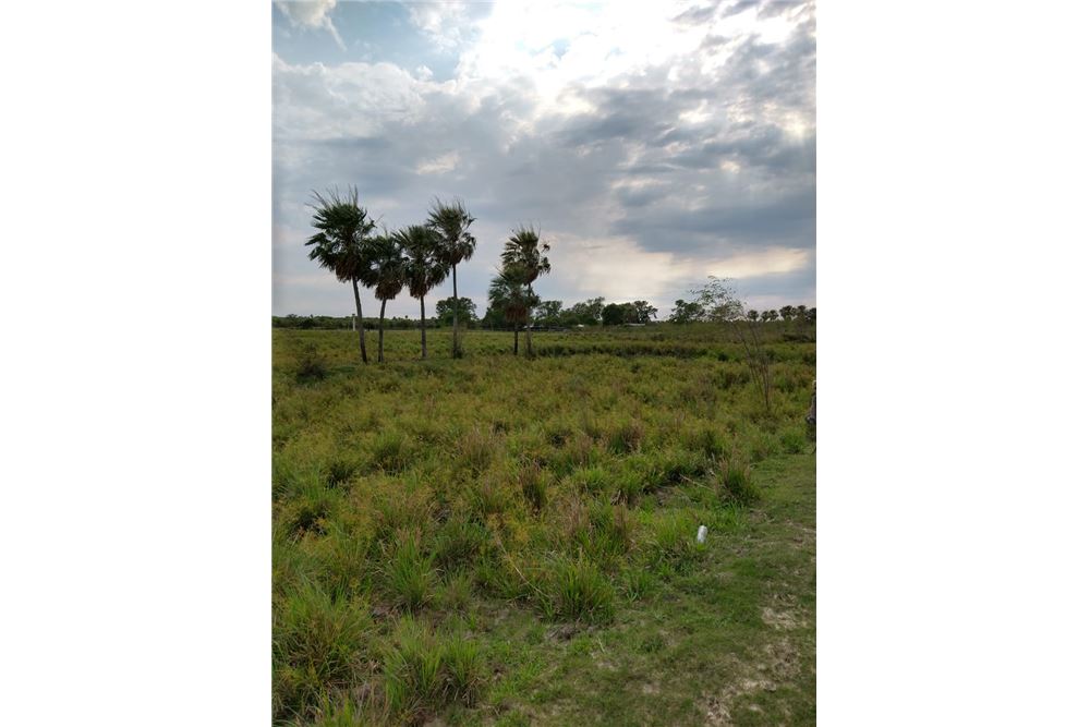 Terreno de 353 hectares à venda em Villa Oliva