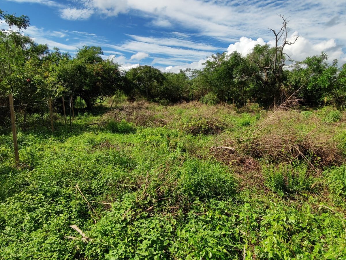Terreno de 360 m² en venta en Guarambaré, Barrio Alegre