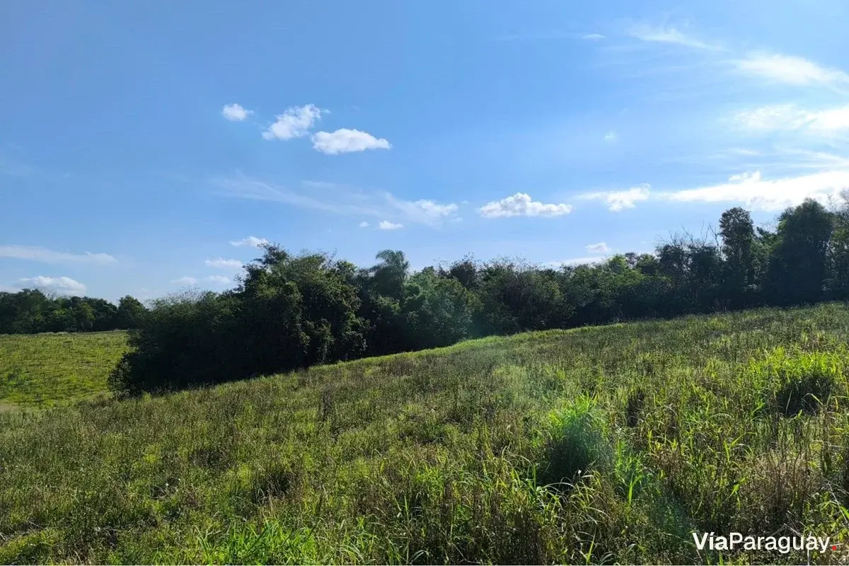 Terreno de 38 hectáreas en venta en Pirapó, Itapúa