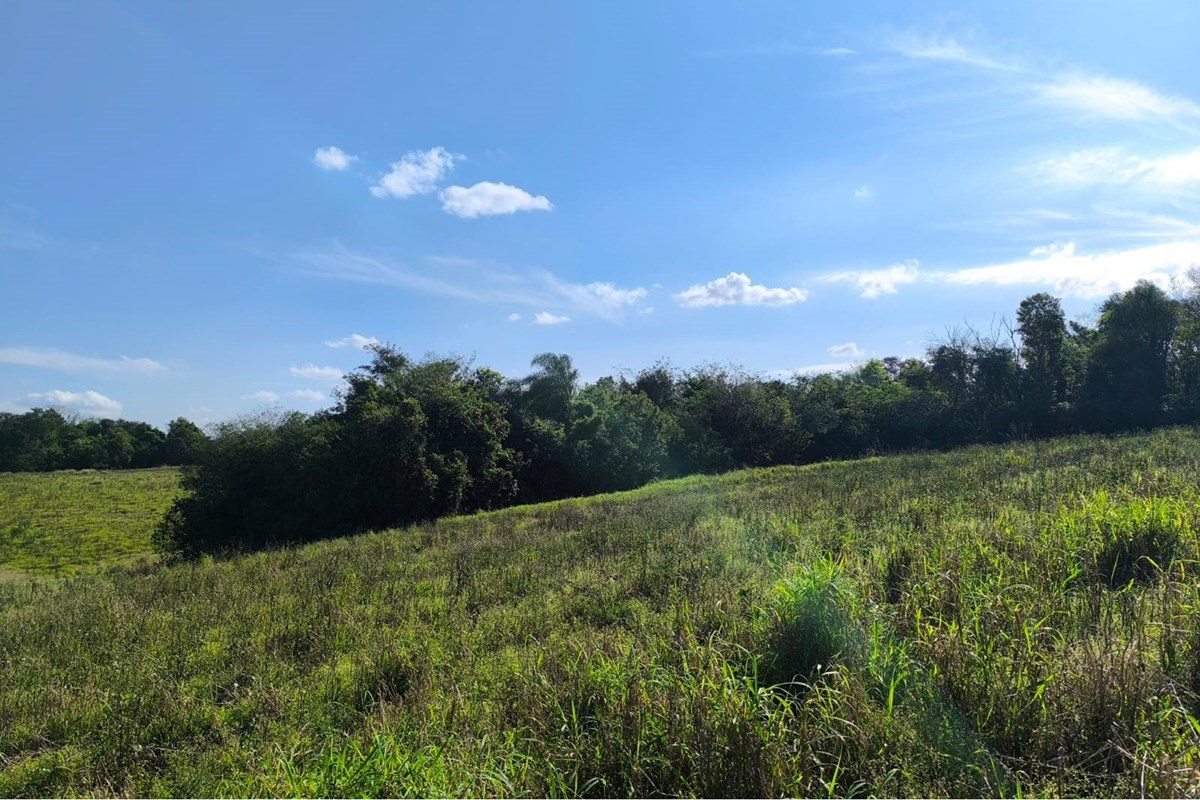 Terreno de 38 hectáreas en venta en Pirapó, Itapúa