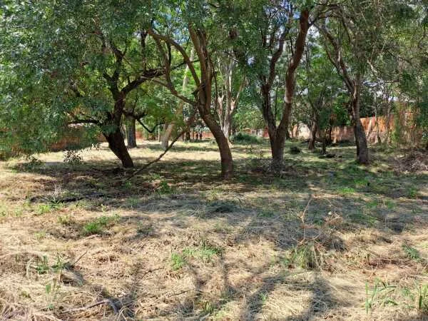 Terreno de 3.902 m² en venta en Villa Elisa, Barrio 29 de Septiembre