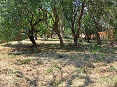 Terreno de 3.902 m² en venta en Villa Elisa, Barrio 29 de Septiembre