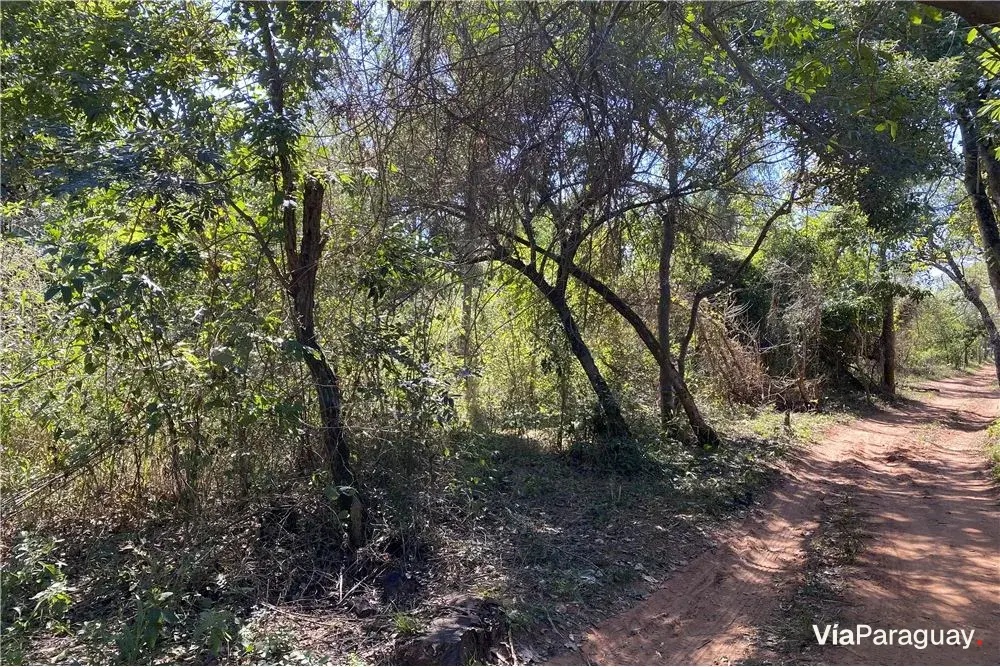 Terreno à venda de 3.974 m² em Isla Valle, Areguá