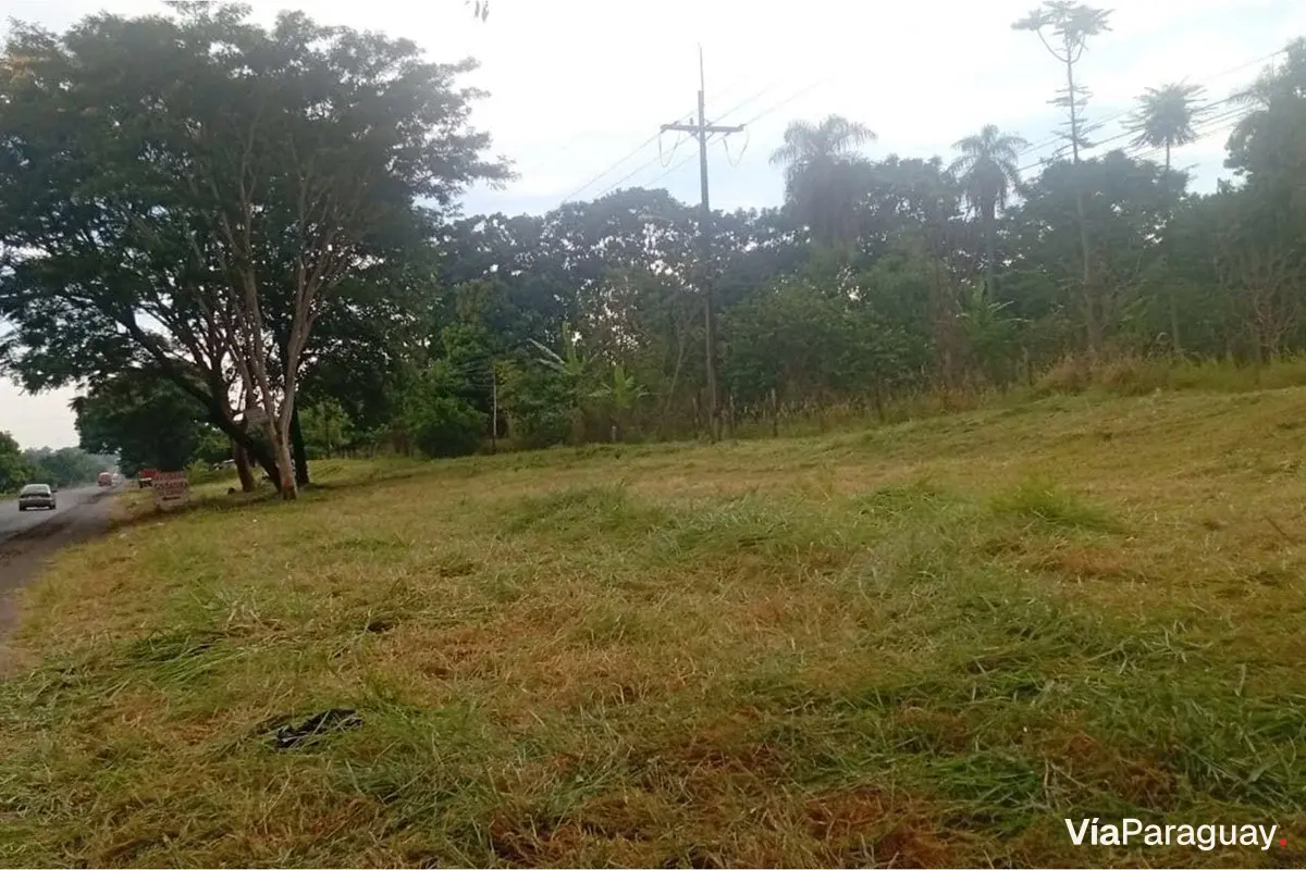 4 ha land for sale in Guayaibí, San Pedro