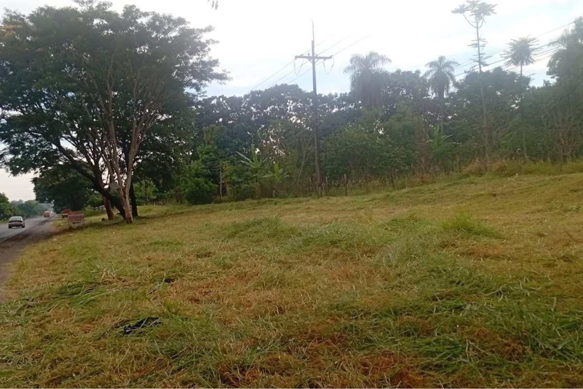 4 ha land for sale in Guayaibí, San Pedro