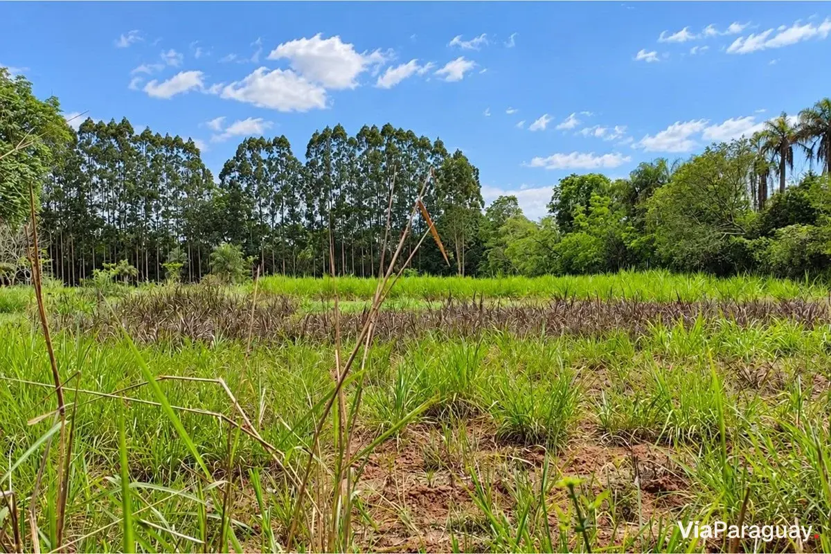 Terreno de 4 hectares à venda em Guarambaré, Central