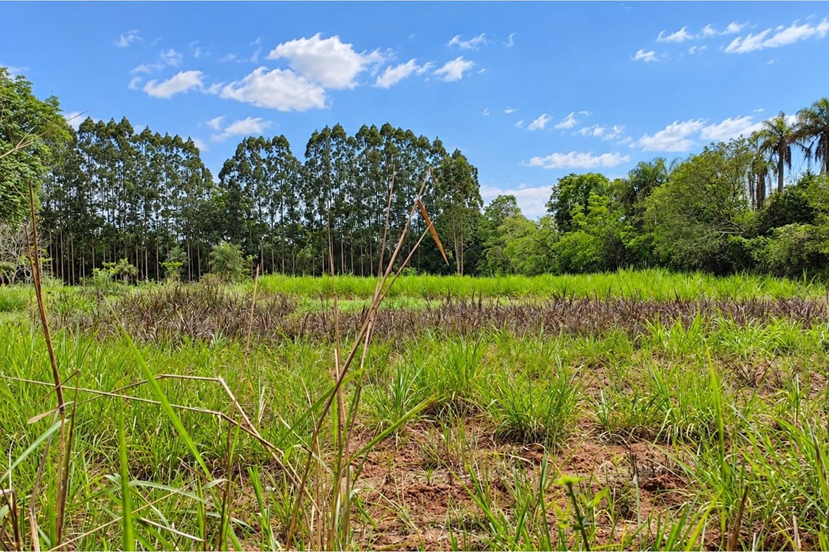 Terreno de 4 hectares à venda em Guarambaré, Central