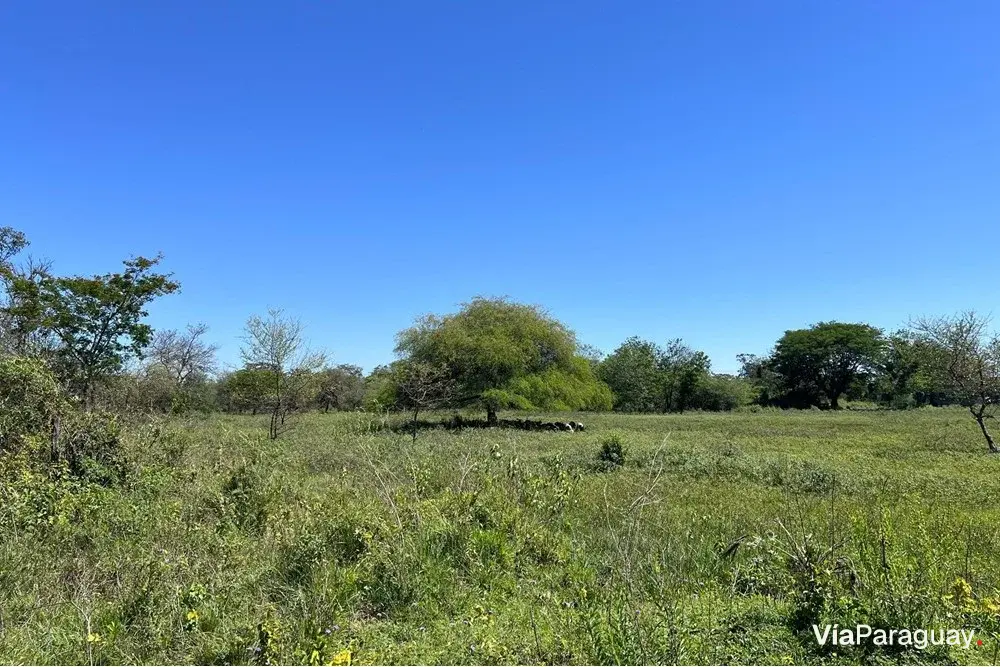 Terreno à venda em Nueva Asunción – 41.529 m²
