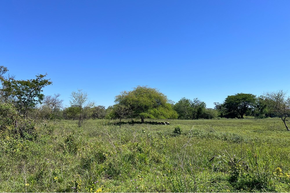 Land for sale in Nueva Asunción – 41,529 m²