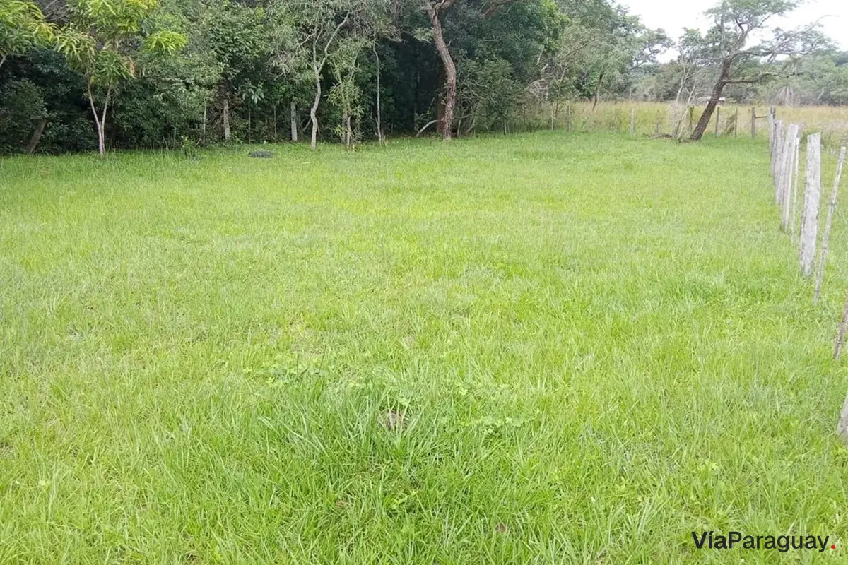 Terreno de 420 m² à venda em Caacupé, Cordillera