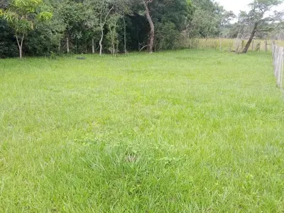Terreno de 420 m² à venda em Caacupé, Cordillera