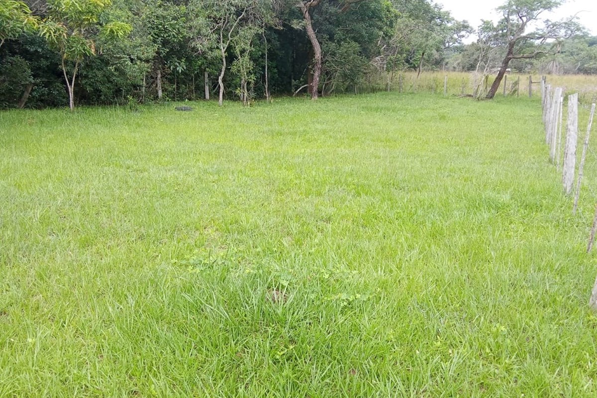 Terreno de 420 m² à venda em Caacupé, Cordillera