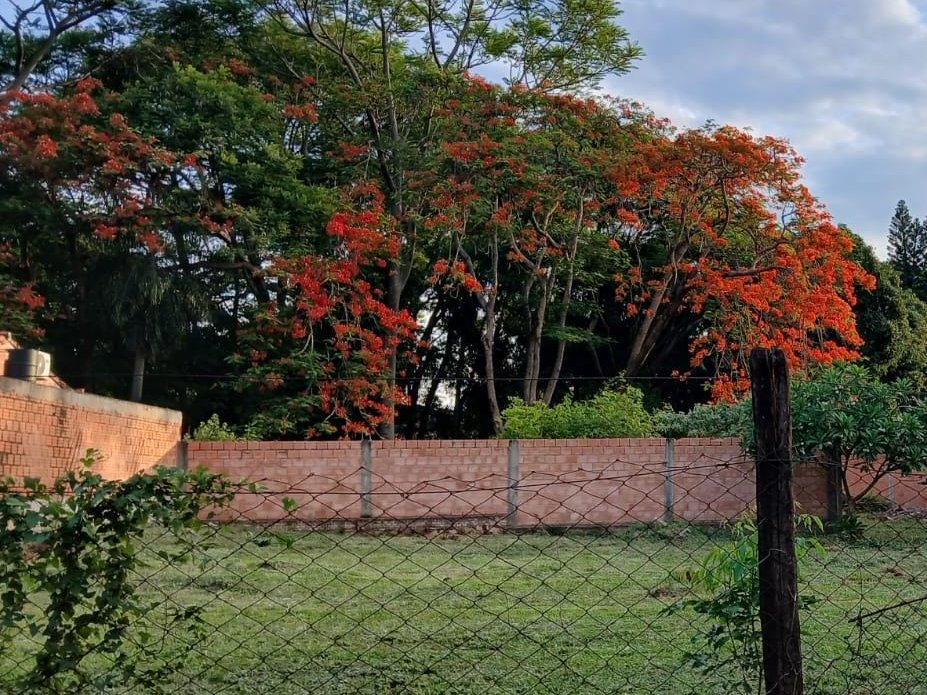 Land for sale in Santísima Cruz, Capiatá — 455 m²