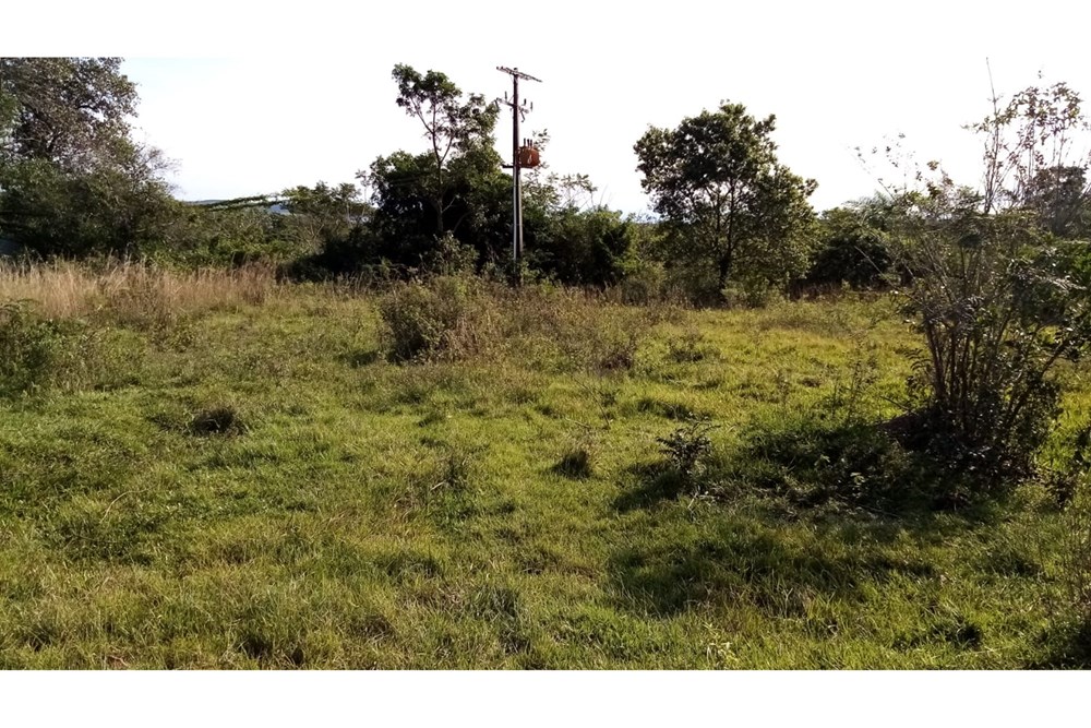 5-hectare land for sale in Atyra, Cordillera