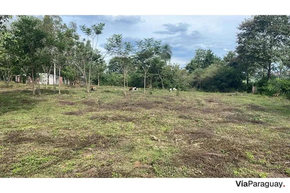 Terreno de 5 hectáreas en venta en Caaguazú