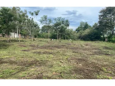 Terreno de 5 hectáreas en venta en Caaguazú