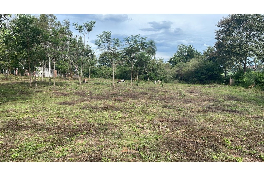 Terreno de 5 hectáreas en venta en Caaguazú
