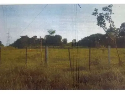 Terreno de 5 hectáreas en venta en Santaní