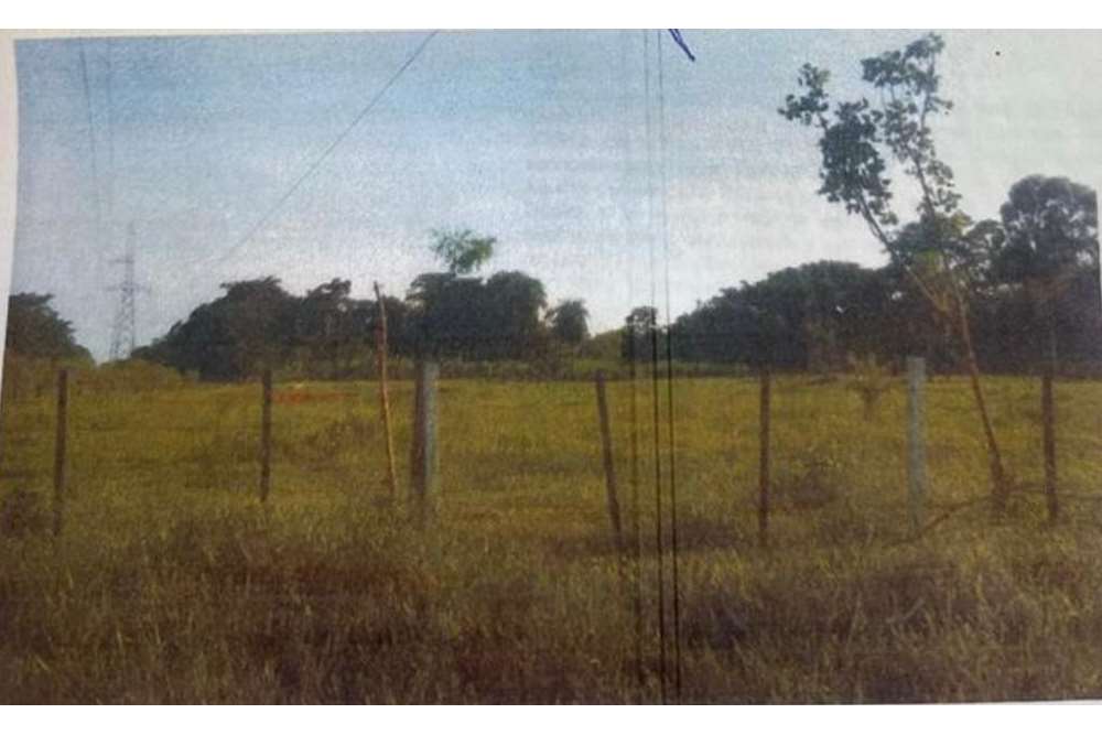 5-hectare land for sale in Santaní