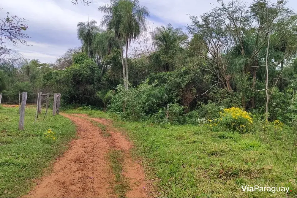 Terreno de 5 hectáreas en venta en Yaguarón