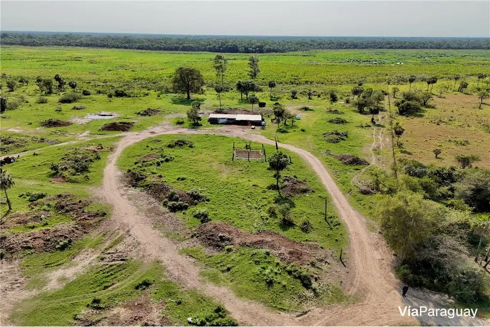 Terreno de 50 hectares à venda em José Falcón
