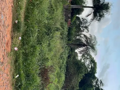 Terreno de 500 m² à venda em Salinas, Ñemby