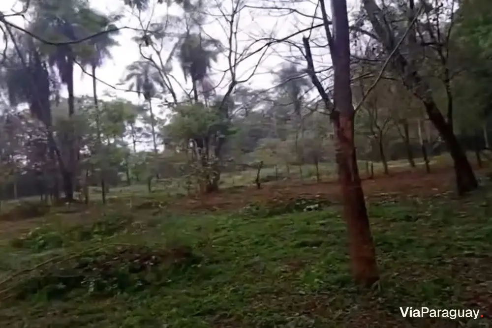 Terreno de 5.000 m² en venta en Caacupé, Cordillera