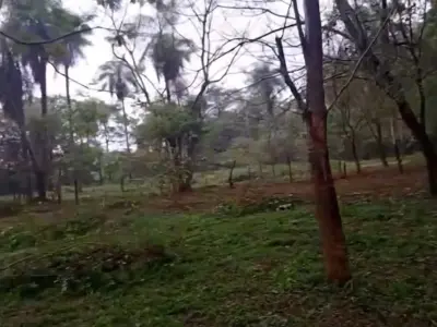 Terreno de 5.000 m² en venta en Caacupé, Cordillera