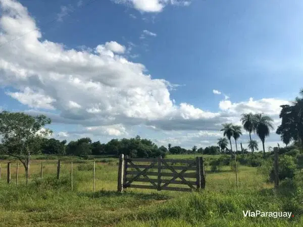 52-Hectare Land for Sale in Ybycuí, Paraguarí