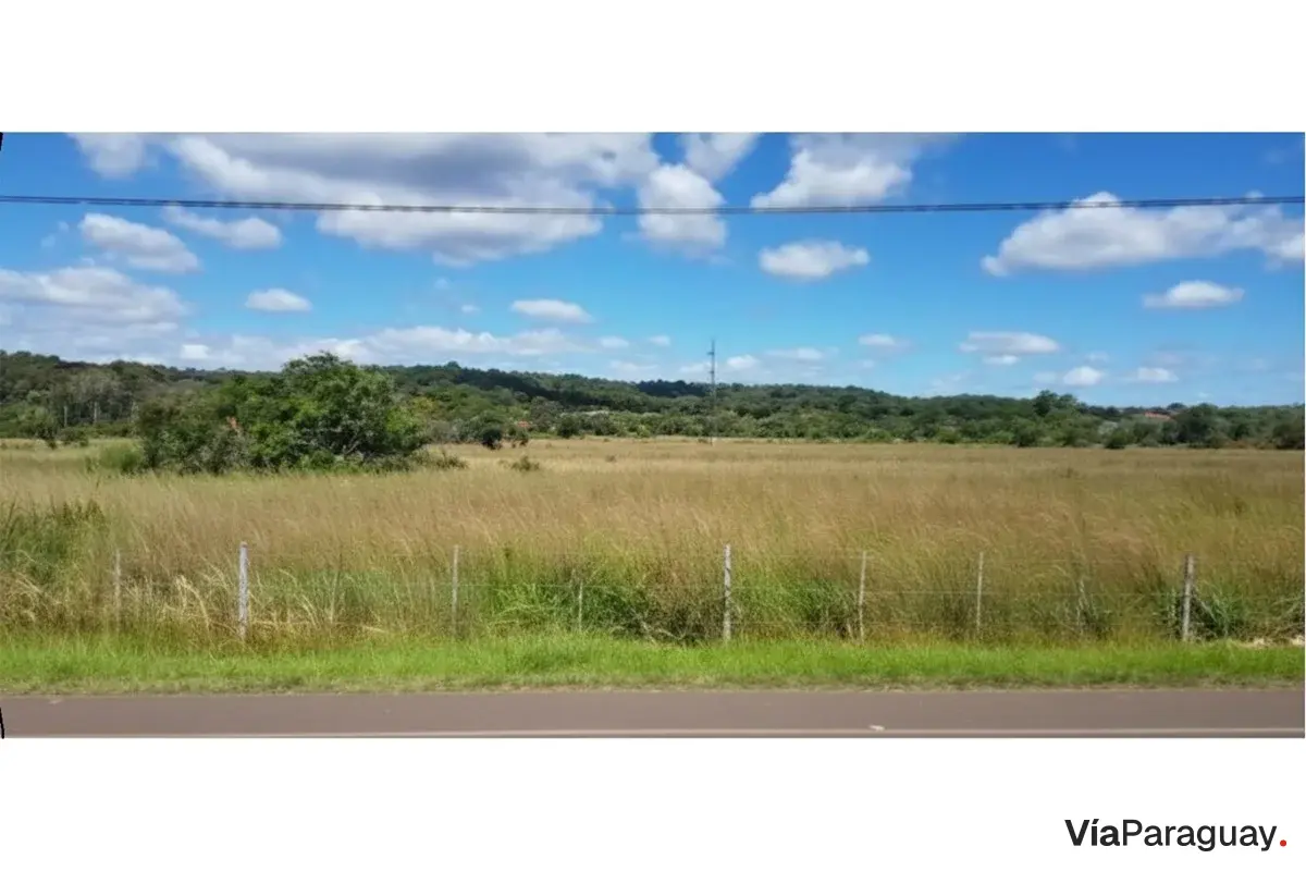 6 ha land for sale on the Luque - San Bernardino route