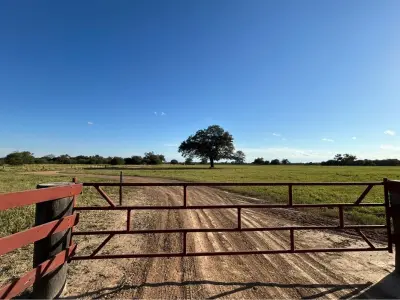 6-hectare land for sale in Filadelfia, Boquerón