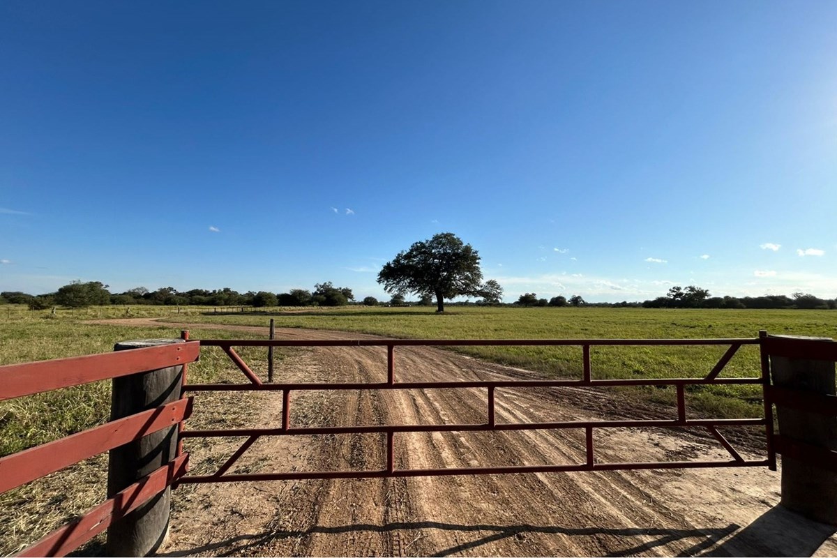 6-hectare land for sale in Filadelfia, Boquerón
