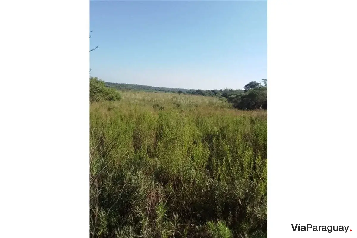 62-hectare land for sale in Coronel Bogado