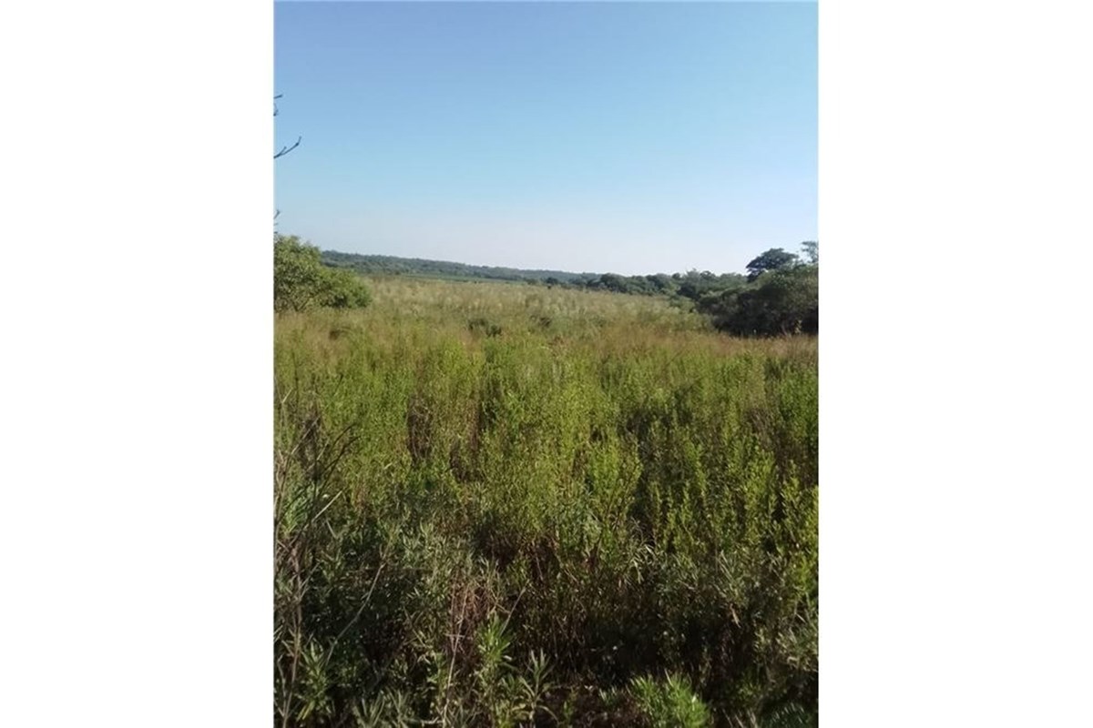 Terreno de 62 hectáreas en venta en Coronel Bogado