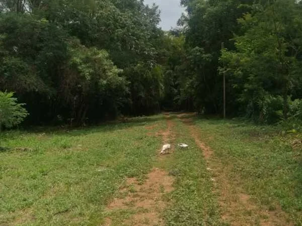 Terreno de 6,3 hectáreas en venta en Maramburé, Luque