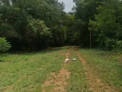 Terreno de 6,3 hectáreas en venta en Maramburé, Luque